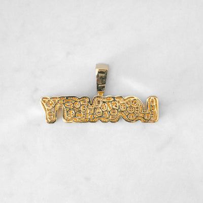 14k - "Loyalty" Pendant - Ice Out NY